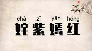 姹紫嫣红