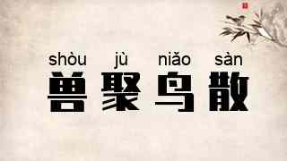 兽聚鸟散