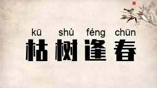 枯树逢春