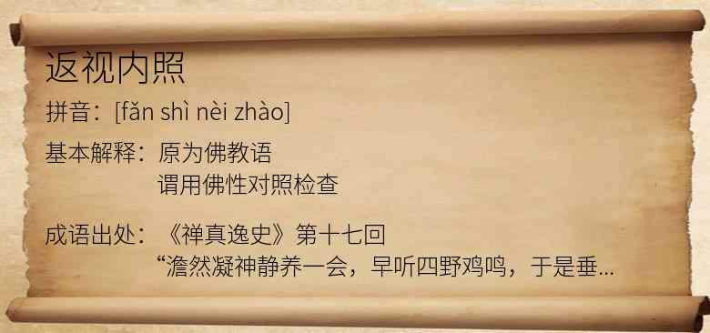 返视内照