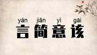 言简意该