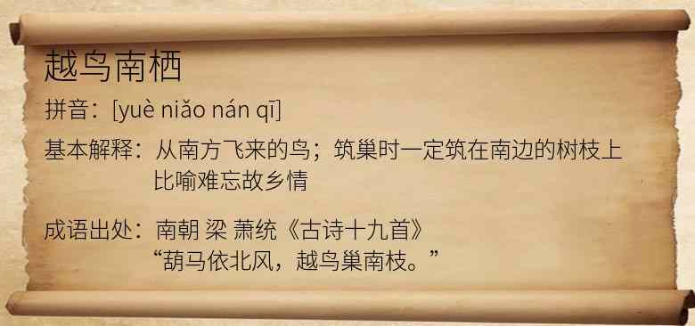 越鸟南栖