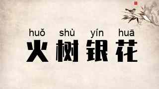 火树银花