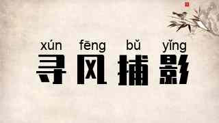 寻风捕影