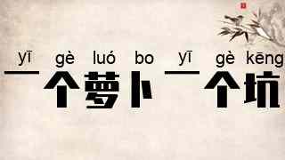 一个萝卜一个坑