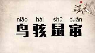 鸟骇鼠窜
