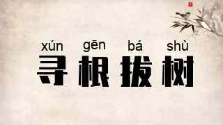 寻根拔树