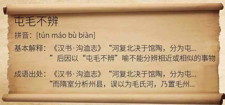 屯毛不辨