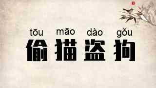 偷猫盗狗