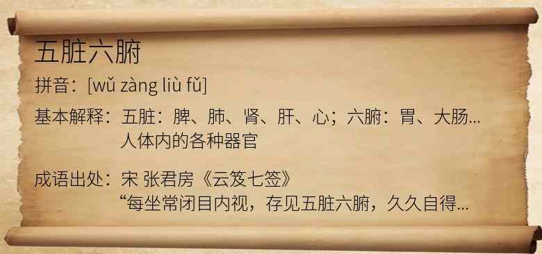 五脏六腑