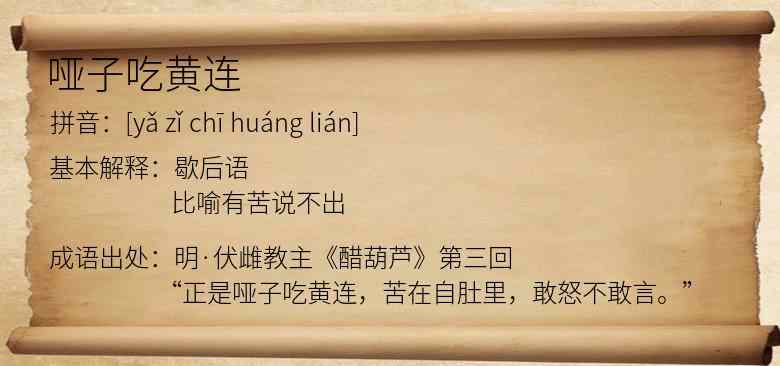 哑子吃黄连