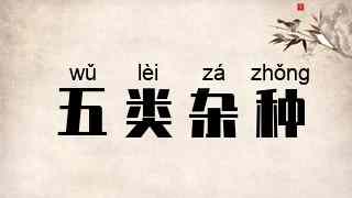 五类杂种