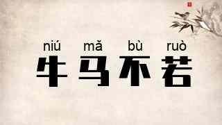 牛马不若