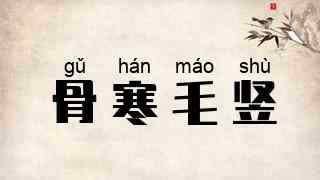 骨寒毛竖
