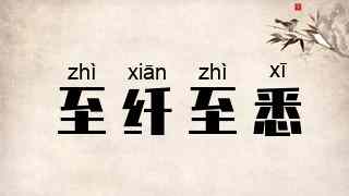 至纤至悉