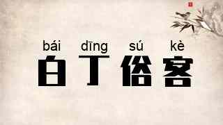 白丁俗客
