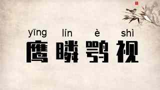 鹰瞵鹗视