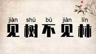 见树不见林