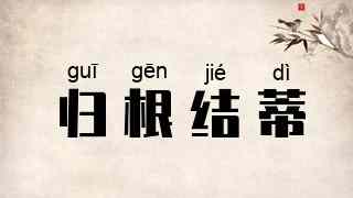 归根结蒂