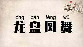 龙盘凤舞