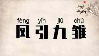 凤引九雏