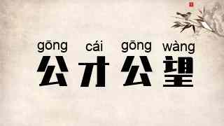 公才公望