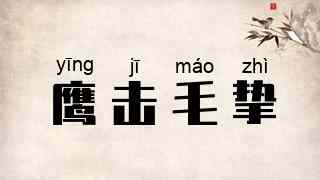 鹰击毛挚