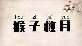 猴子救月