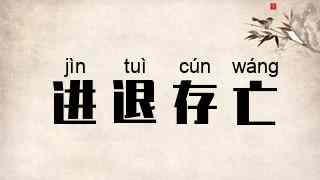 进退存亡