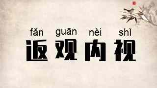 返观内视