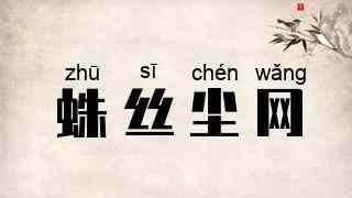 蛛丝尘网
