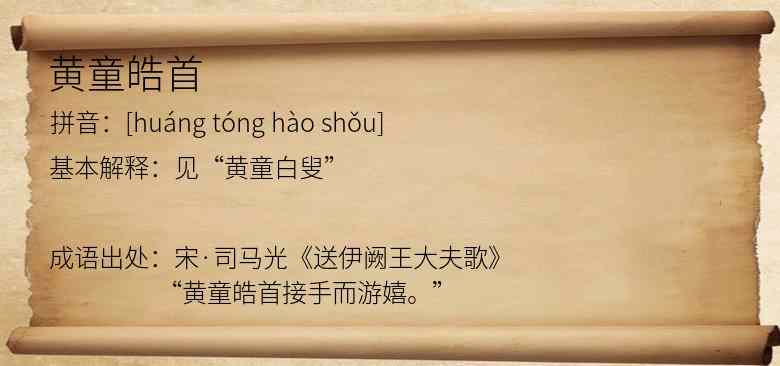 黄童皓首