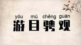 游目骋观