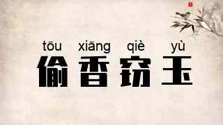 偷香窃玉