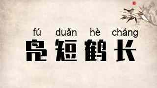 凫短鹤长