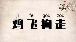 鸡飞狗走