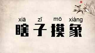 瞎子摸象