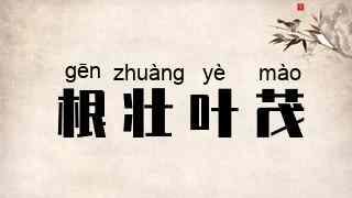 根壮叶茂