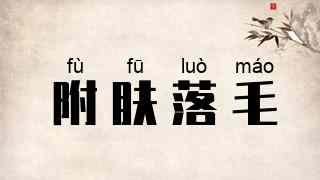 附肤落毛