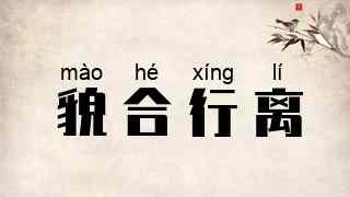 貌合行离