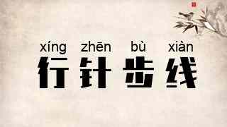 行针步线