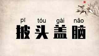 披头盖脑