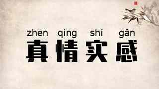 真情实感