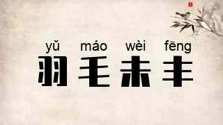羽毛未丰