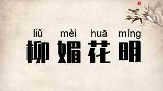 柳媚花明
