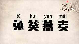 兔葵燕麦