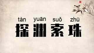 探渊索珠