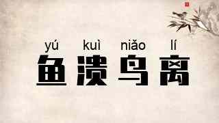 鱼溃鸟离