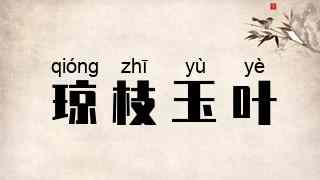 琼枝玉叶