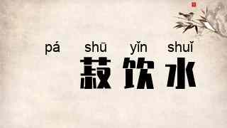歠菽饮水